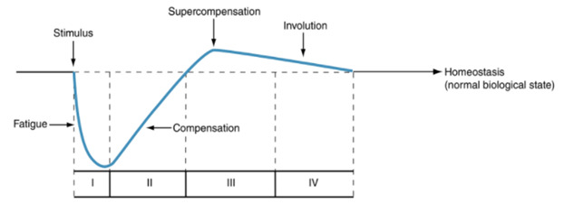 Supercompensation